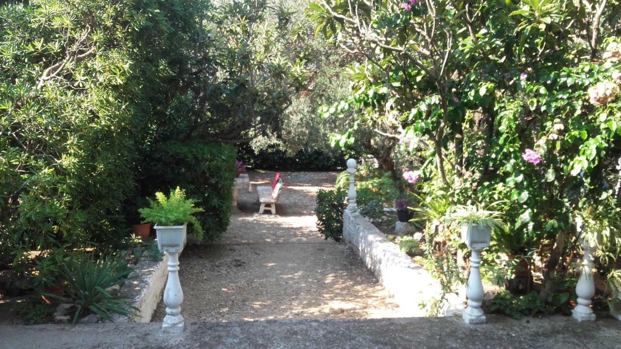 Daniela Apartment Makarska Ngoại thất bức ảnh