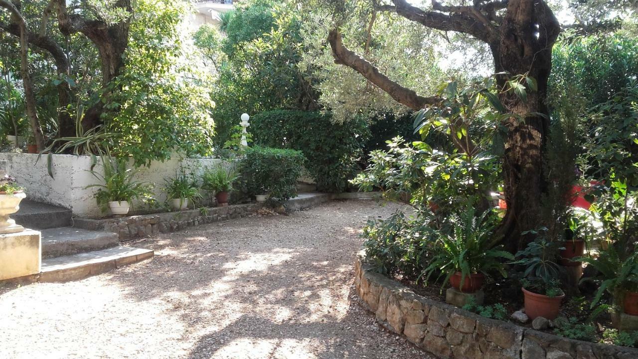 Daniela Apartment Makarska Ngoại thất bức ảnh
